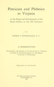 Cover of: Patrician and plebeian in Virginia: or, The origin and development of the social classes of the Old Dominion ...
