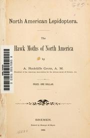 The hawk moths of North America by Augustus Radcliffe Grote