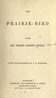 Cover of: The prairie-bird. by Sir Charles Augustus Murray, Sir Charles Augustus Murray