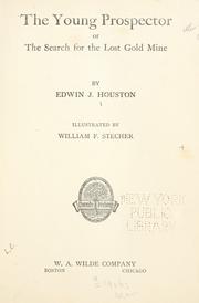 Cover of: The young prospector, or, The search for the lost gold mine