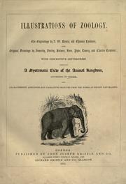 Cover of: Illustrations of zoology