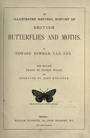 Cover of: illustrated natural history of British butterflies and moths