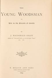 Cover of: The young woodsman