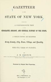 Cover of: Gazetteer of the state of New York by J. H. French