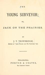 Cover of: The young surveyor: or, Jack on the prairies