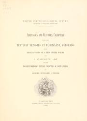 Cover of: Adephagous and clavicorn Coleoptera from the Tertiary deposits at Florissant, Colorado, with descriptions of a few other forms and a systematic list of the nonrhynchophorous Tertiary Coleoptera of North America by Samuel Hubbard Scudder