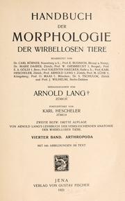 Cover of: Handbuch der Morphologie der wirbellosen Tiere by hrsg. von Arnold Lang.