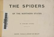 Cover of: The  spiders of the northern states by Edward Knobel