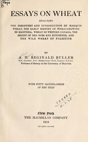 Cover of: Essays on wheat, including the discovery and introduction of marquis wheat, the early history of wheat-growing in Manitoba, wheat in Western Canada, the origin of red bobs and kitchener, and the wild wheat of Palestine.