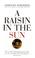 Cover of: Raisin in the Sun