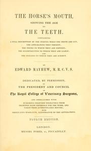 The horse's mouth by Edward Mayhew