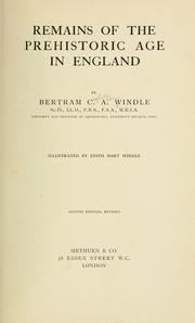 Remains of the prehistoric age in England by Windle, Bertram Coghill Alan Sir