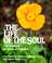 Cover of: The Life of the Soul