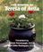 Cover of: The Wisdom of Teresa of Avila