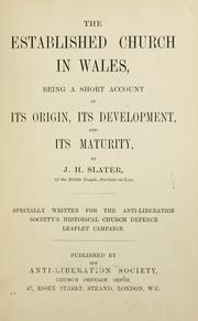 Cover of: The established church in Wales by J. Herbert Slater