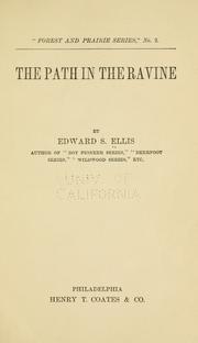 Cover of: The path in the ravine by Edward Sylvester Ellis, Edward Sylvester Ellis