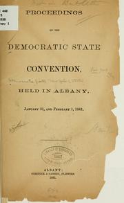 Proceedings of the Democratic state convention by Democratic Party (N.Y.). State Convention