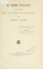 Cover of: Il verbo italiano
