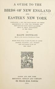 Cover of: A guide to the birds of New England and eastern New York: containing a key for each season and short descriptions of over 250 species, with particular reference to their appearance in the field