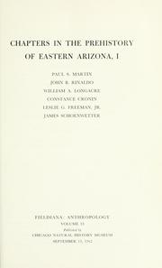 Cover of: Chapters in the prehistory of eastern Arizona