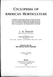 Cover of: Cyclopedia of American horticulture by by L.H. Bailey ; assisted by Wilhelm Miller and many expert cultivators and botanists.