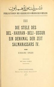Die Stelle des Bel-harran-beli-ussur by Eckhard Unger