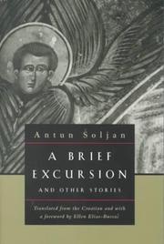 Cover of: A brief excursion and other stories by Antun Šoljan