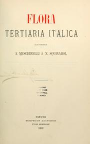 Cover of: Flora tertiaria Italica by Luigi Meschinelli