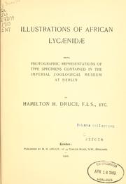 Illustrations of African Lycaenidae by Hamilton H. Druce