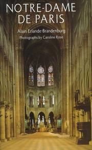 Cover of: Notre-Dame de Paris by Alain Erlande-Brandenburg, Alain Erlande-Brandenburg