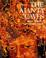 Cover of: The Ajanta Caves