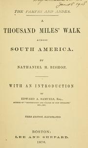 Cover of: The pampas and Andes. A thousand miles' walk across South America by N. H. Bishop