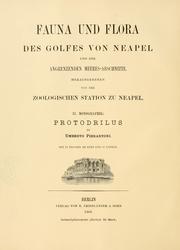 Cover of: Protodrilus