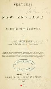 Cover of: Sketches of New England by N. S. Dodge