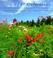 Cover of: Country Gardening
