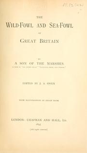 Cover of: wild-fowl and sea-fowl of Great Britain