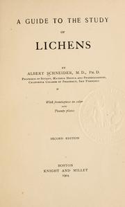 Cover of: guide to the study of lichens