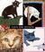 Cover of: Cats On Quilts