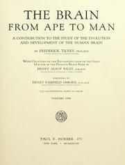 The brain from ape to man by Tilney, Frederick