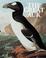 Cover of: The great auk