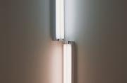 Dan Flavin by Dan Flavin