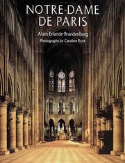 Cover of: Notre-Dame De Paris (Abradale)