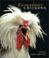 Cover of: Extraordinary Chickens