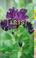 Cover of: Iris (Affordable Series of Books for Gardeners)