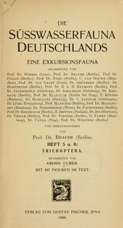 Cover of: Trichoptera