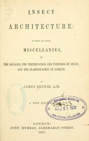 Cover of: Insect architecture by James Rennie
