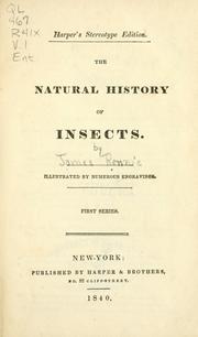 Cover of: natural history of insects.