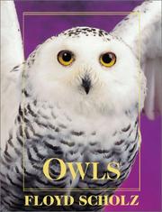 Cover of: Owls by Floyd Scholz