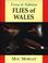 Cover of: Trout and Salmon Flies of Wales