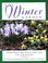 Cover of: The winter garden